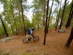DSCN0586.jpg