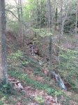 IMG_0531.JPG