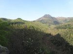 IMG_0530.JPG