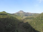 IMG_0529.JPG