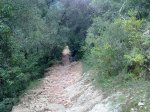 130420112300_800x600.jpg