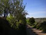 DSCN1834+.JPG