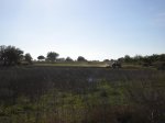 DSCN1831+.JPG
