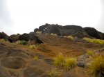 DSCN0620.jpg