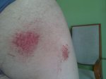 12042011073.JPG