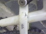 roto3.jpg