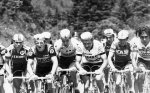 72010_173813075986105_152138871486859_423656_4399366_n.jpg