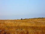 DSCN0677.jpg