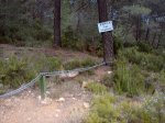DSC00082.jpg