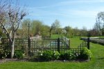 garden.JPG