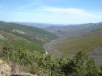 pe&#241;on_1.jpg