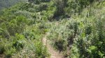 IMG_5665.jpg