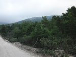 CIMG0136.JPG