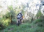 16ABR11 Ruta Gorfoli Asturcones 2.jpg