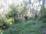 16ABR11 Ruta Gorfoli Asturcones 4.jpg