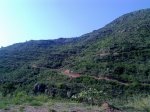 170420112351_800x600.jpg