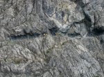 foto13big.jpg