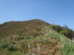 P4170441.jpg