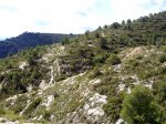 17042011423R.JPG