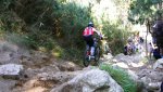 _MG_9527.jpg