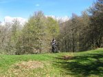 img_6137.jpg