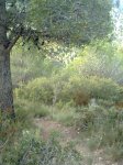 Imagen0167.jpg
