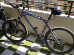 mi bici.jpg