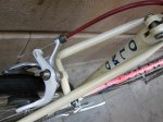 OLMO4.jpg