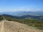 IMG_2359.JPG