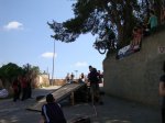 DSC03526.JPG