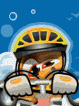 Velo1.gif