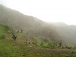 DSC07201 web.jpg