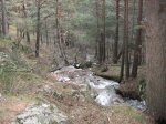 IMG_0926_redimensionar.jpg