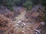 100_1589 (Small).JPG