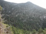 IMG_0940_redimensionar.jpg