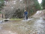 IMG_0950_redimensionar.jpg