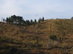 DSC04646.JPG