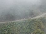 DSC00134 web.jpg