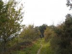 DSC04710.JPG