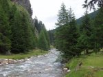 PfeldersPlan[2] austria.jpg