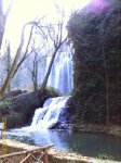 IMAGE_00012.jpg