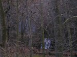 pc162303_2.jpg