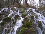 pc162328_2.jpg
