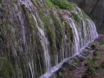 pc162369_2.jpg