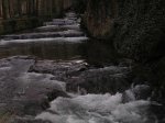 pc162375_2.jpg