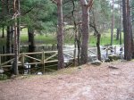 DSCN3384.JPG