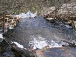 DSCN3394.JPG