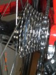 CIMG0205-1.JPG