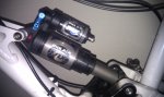 DHX4(1).jpg