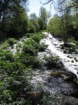 IMG_8527.JPG